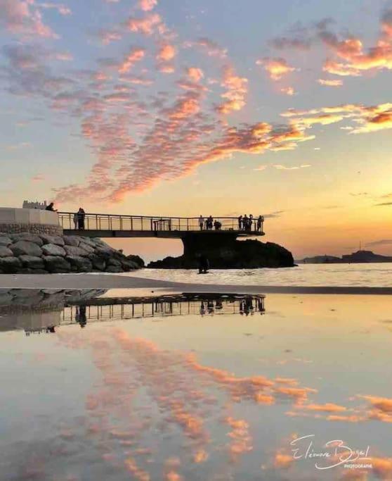 Plage Des Catalans/Vieux Port Marseille Eksteriør bilde